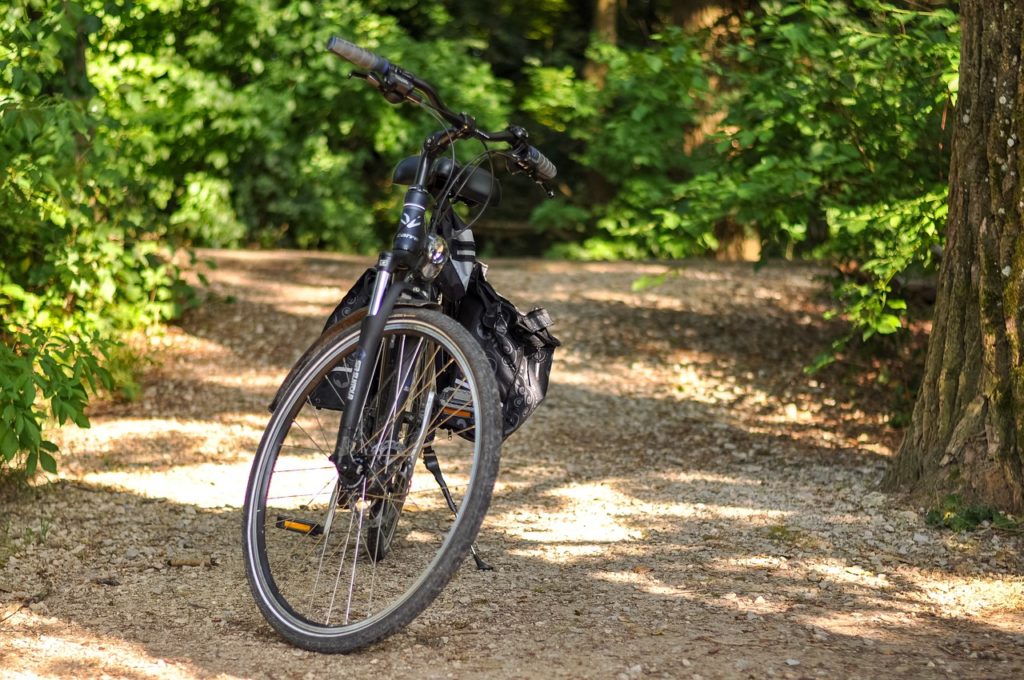 bike, forest, trees